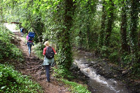 ruta de aracena|Top 10 circular walks in the Sierra de Aracena